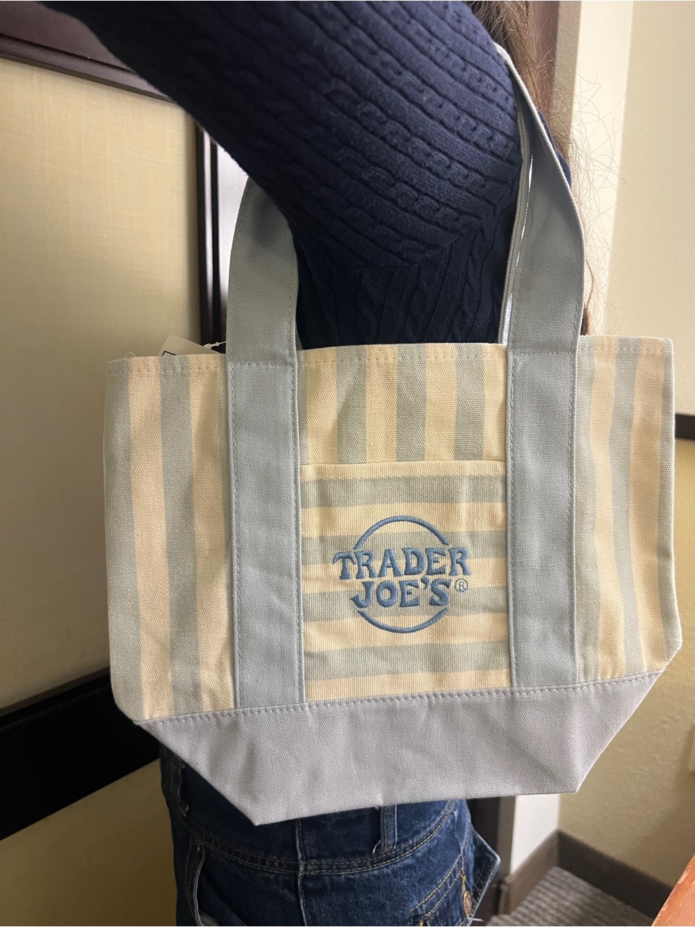 NWT Trader Joe's Striped Mini Canvas Tote Bag - Light Blue & Cream